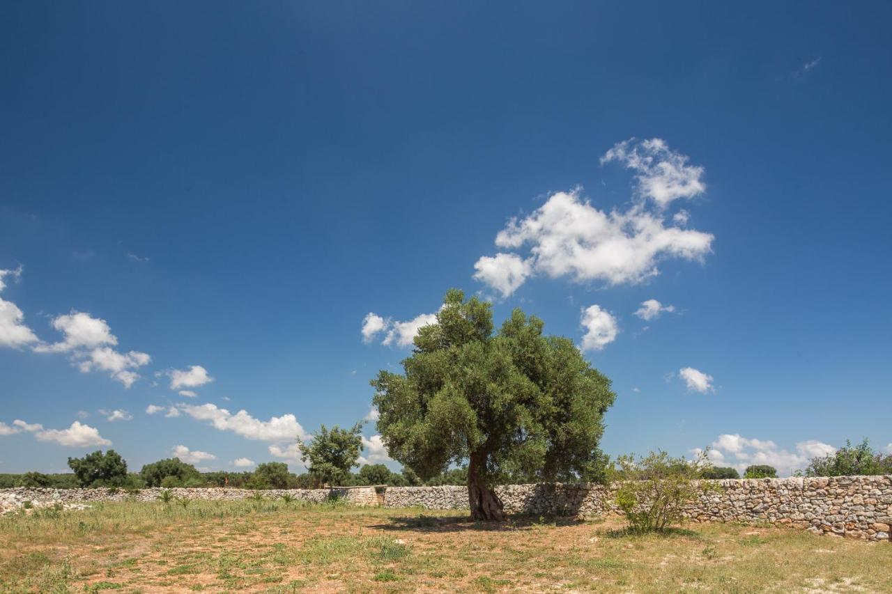 Masseria Castelluzzo チェーリエ・メッサーピカ エクステリア 写真
